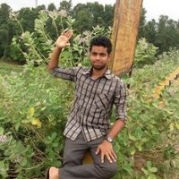 Kalinga Rout