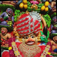 Smit Bhaliya