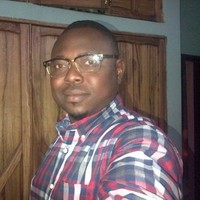 Bolaji Ogunleye