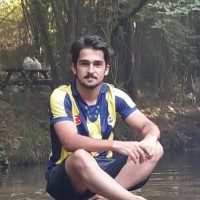 Onur Abali