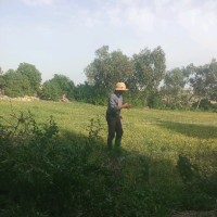 El-Amrani Adil