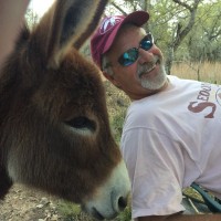 Russ Morgan