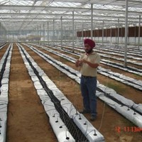 Inderjit Sarna