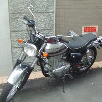 Yoko Sakamoto