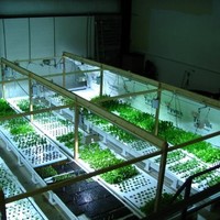 Aqua Growers, LLC