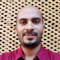 Ehab Saleh Mosa