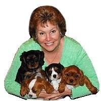 Sandra Reiley-Lince