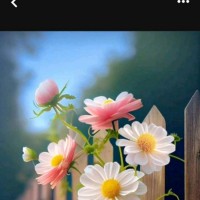 Farhat Naz