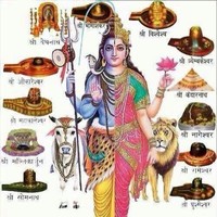 Macro Enterprises Dwarka