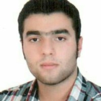 mohammad sadegh pashaei