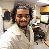 Zachary Caraballo-Bobea