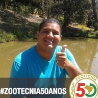 Jorge Fernandes