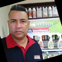 Reginaldo Silva
