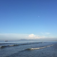 郭志伟