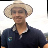 Alisson Gessi de Moraes