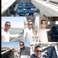 عمرو أغا