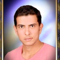 Karam Ayed