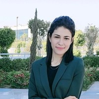 Yara Flifel