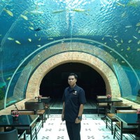 Andre Awan