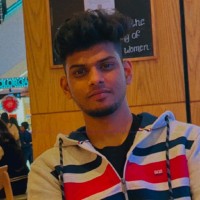 Naveen Raj