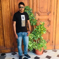 rizwan Ahamad Ansari