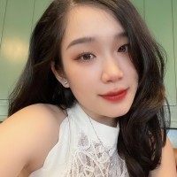 Lan Anh Vu Thi