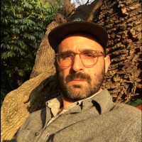 Joshua Cohen