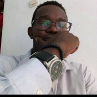 louis johan moussinga