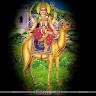 Krishna Chauhan