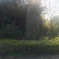 王友爱