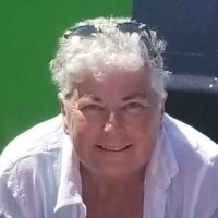 Dr Patricia J Scott
