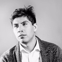 Mauricio Vergara