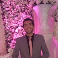 Mohamed Magdy Ali