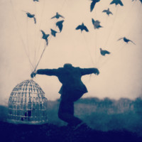 Da Silva Azevedo Hilena