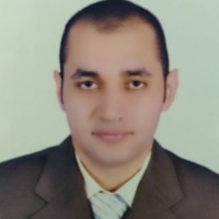 Mohamed Shafei