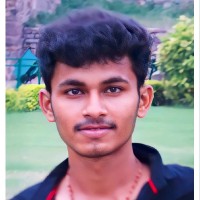 N. Naveenkumar