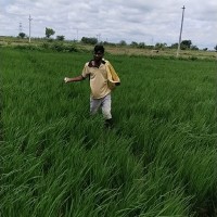 Hussain Vali