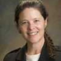 Lani Meanley Collins