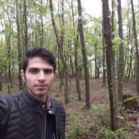 M. Aref Ghassemi