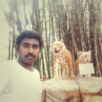 Barna Bas Mourya Bakka