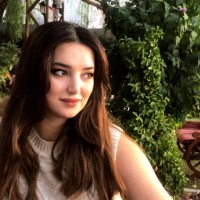 Asena Arı