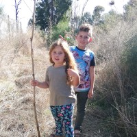 Dagan Recanati