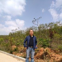 Gavin Wang