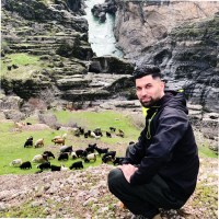 Haroon Sport