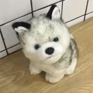 张晓东