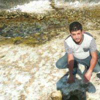 nessim boubaker
