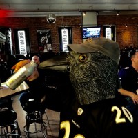 Ravens Mask