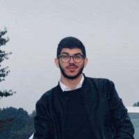 zeiad abdelaziz abbas