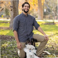 Udo-Peter Steyer