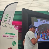 El Arabi Selmani